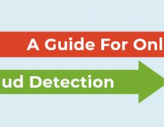 A Guide for Online Fraud Detection