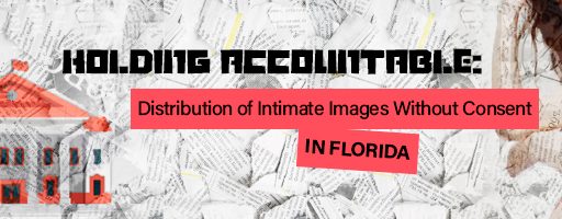 Distribution of Intimate Images Without Consent Florida