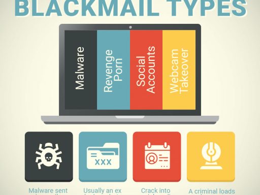 online blackmail types